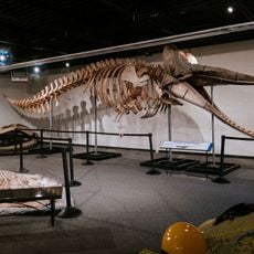 Quinte Museum of Natural History