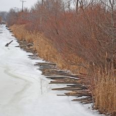 Hull's Trace North Huron River Corduroy Segment