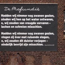 De Poel