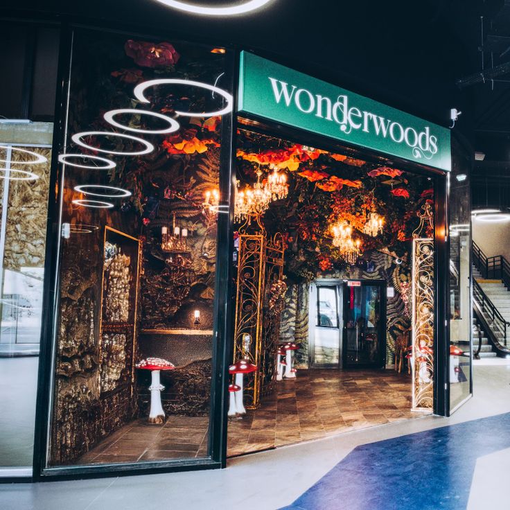 Wonderwoods by Ephemera