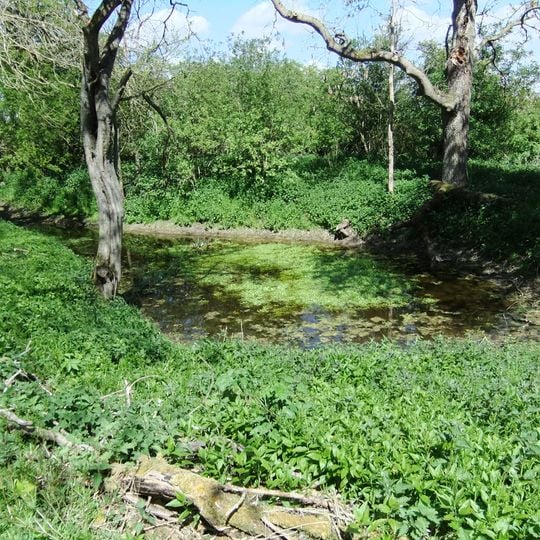 Mowsbury Hill: slight univallate hillfort and medieval moated site
