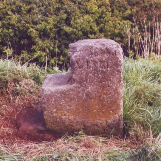 Milestone Approximately 50 Metres North Of Daytona