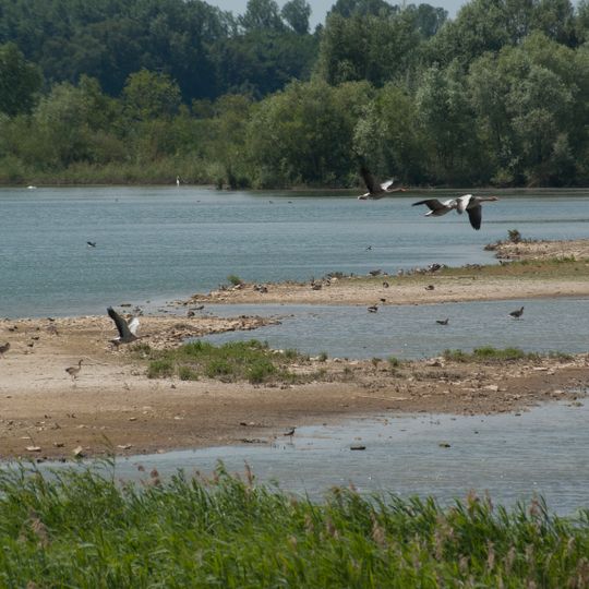 Naturschutzgebiet 'Gundelfinger Moos'