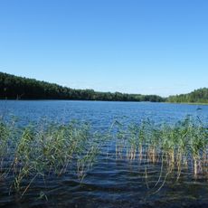 Rzujno