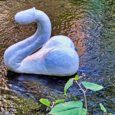Oslo Penis Swan