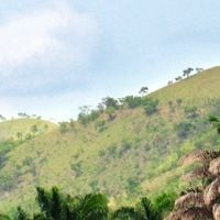 Aragua