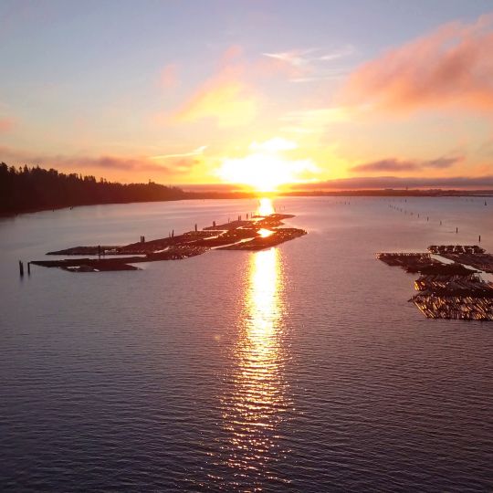 Pacific Spirit Regional Park