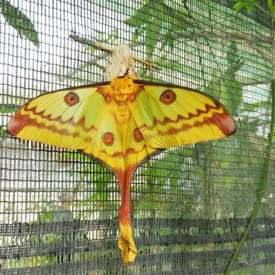 La Ferme aux Papillons