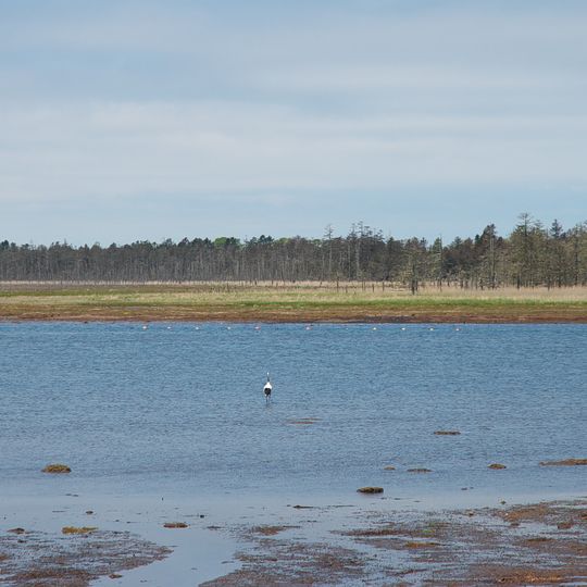 Lake Furen