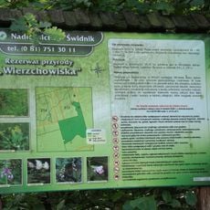 Wierzchowiska nature reserve