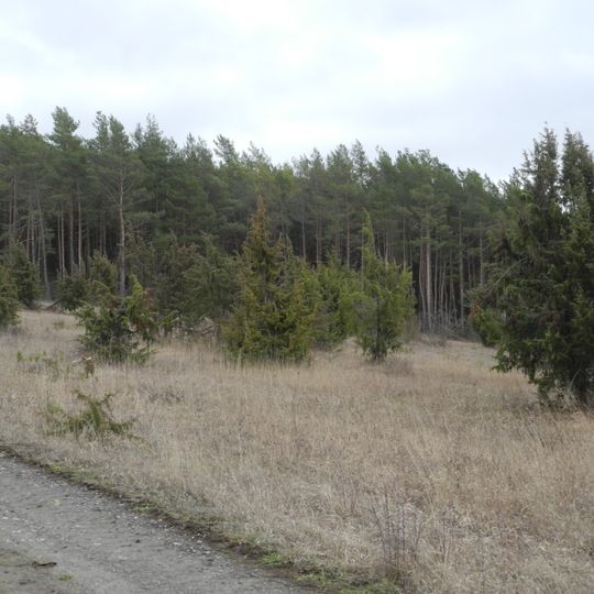 Hute vor dem Bärenberg