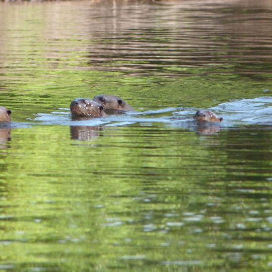Uatumã Sustainable Development Reserve
