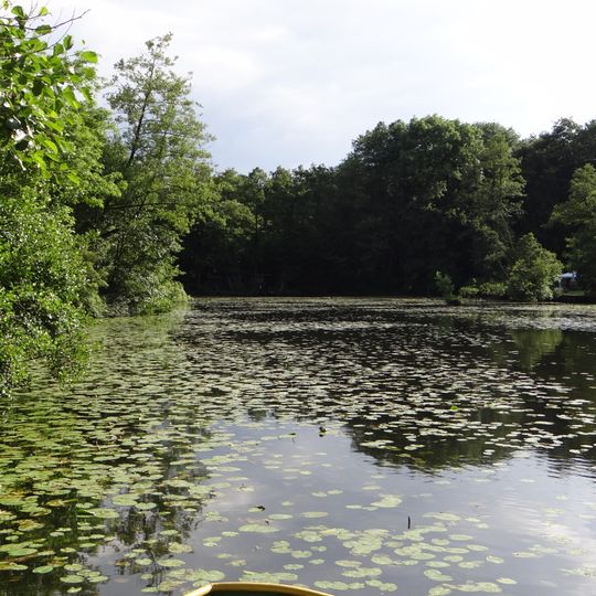 Staatsforst Rheurdt/Littard