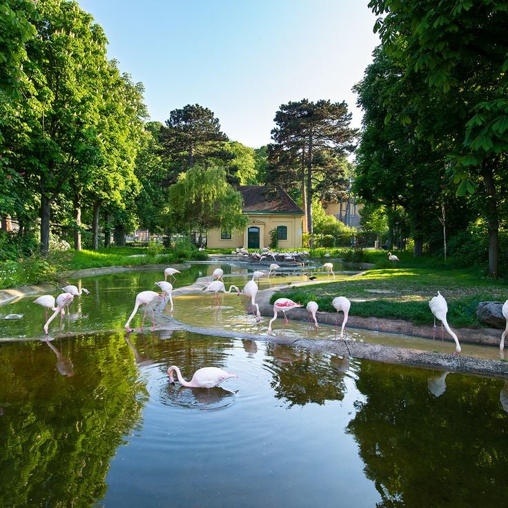 Tiergarten Schönbrunn