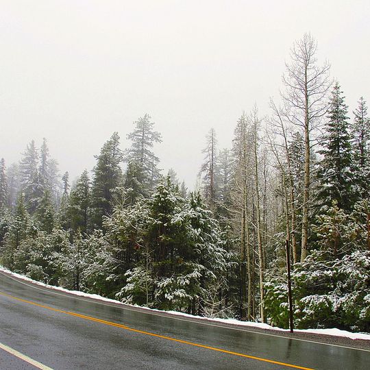 California State Route 88