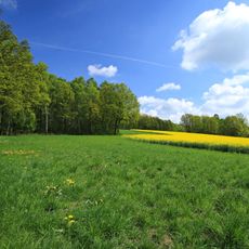 Pfaffenberg - Oberwald