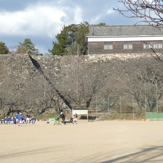 Kameyama Castle