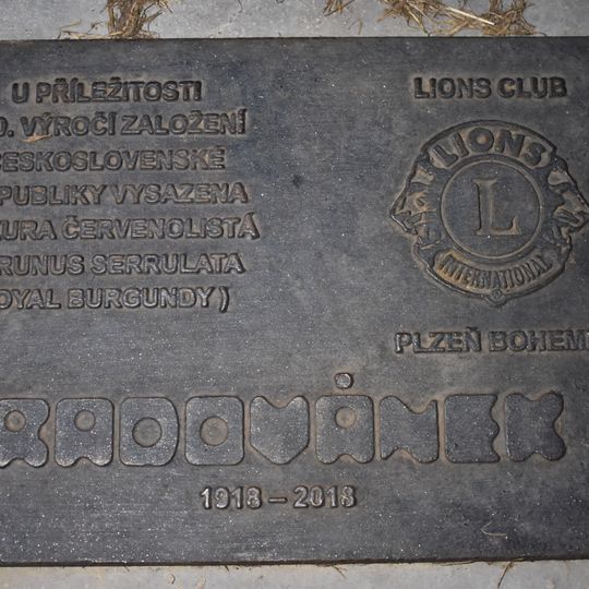 Pamětní destička k výsadbě sakury ke 100 letům  od vzniku Československa