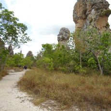 Cabeça de Dom Pedro