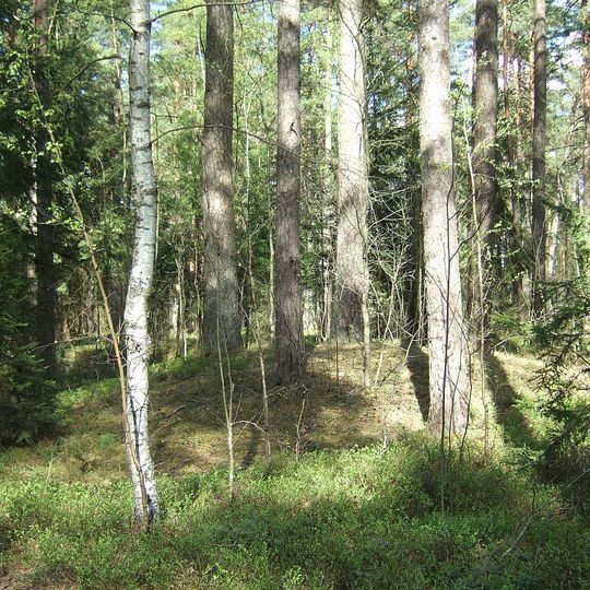 Baniškių pilkapynas