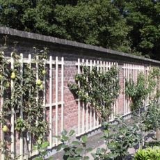 Huis Maarsbergen: tuinmuur