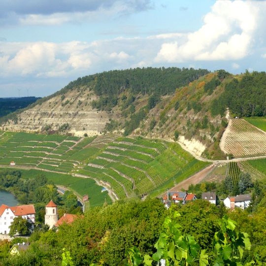 Mainprallhang Kallmuth N von Homburg