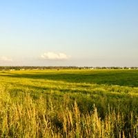 Ивано-Константиновское