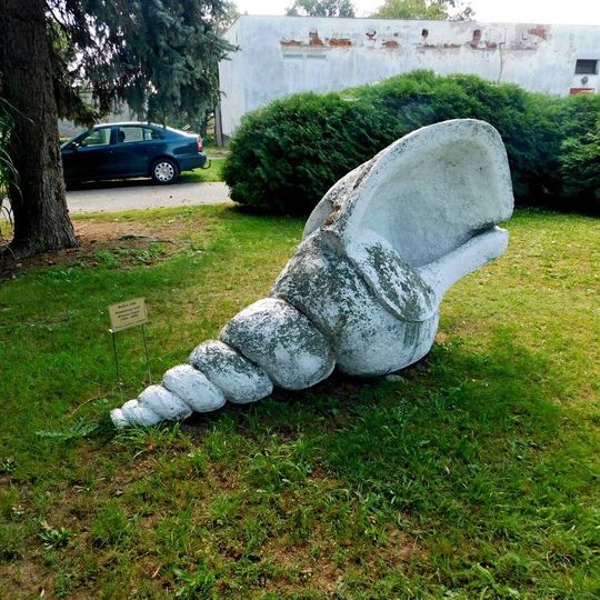 Plastika Mušle ve sportovním centru v Nymburku