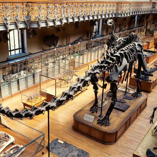 Galerie de Paléontologie et d’Anatomie comparée