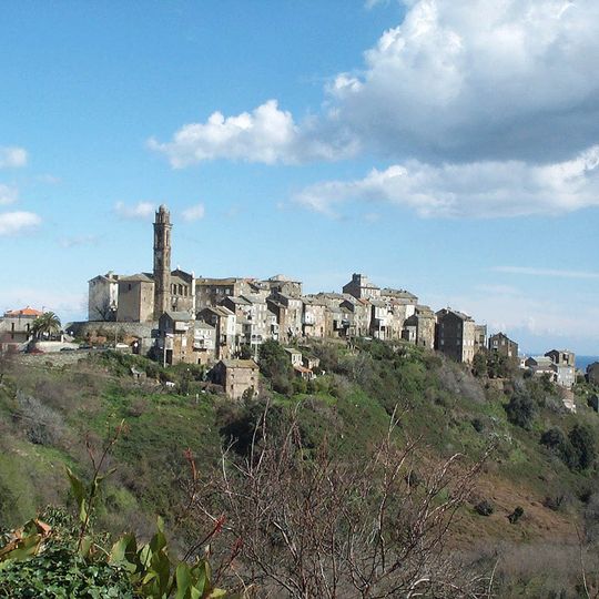 Venzolasca