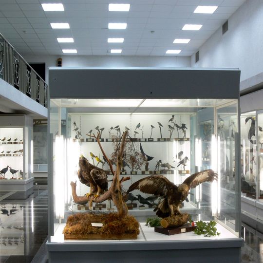 Зоологический музей Белорусского государственного университета