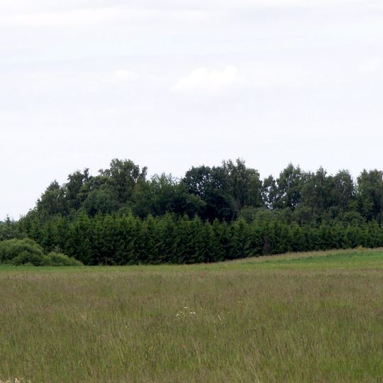 Mišučiai hillfort