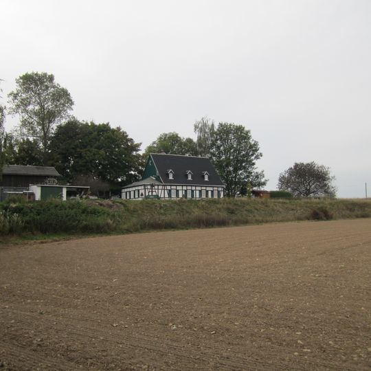 Fundgrube Jung Wildschwein