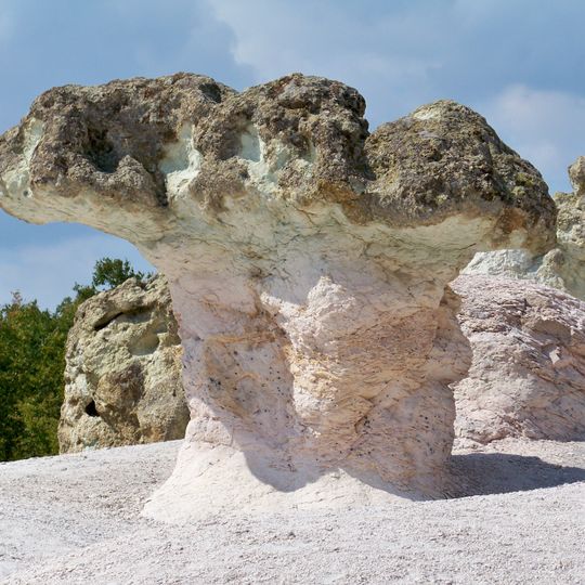The Stone Mushrooms