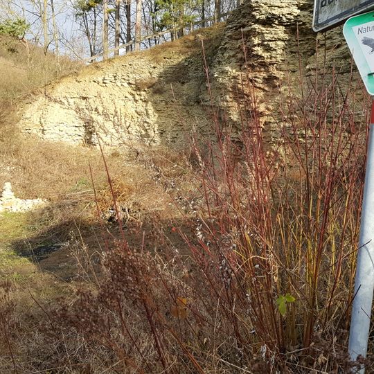 Aufschluss im Gewann Untere Steig