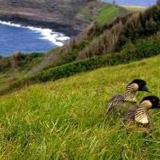 Kƒ´lauea Point National Wildlife Refuge
