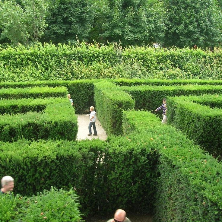 Schönbrunn Palace Maze