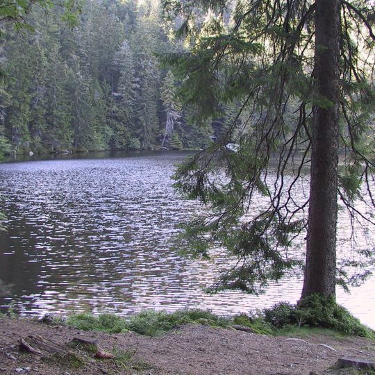 Naturschutzgebiet Glaswaldsee