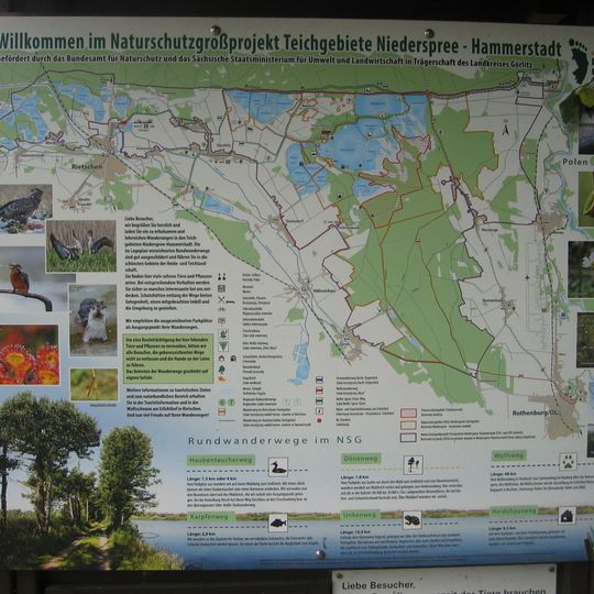 Teichgebiete Niederspree-Hammerstadt