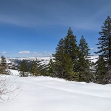 Blue Mountain Forest State Scenic Corridor