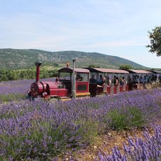 Musée de la Lavande