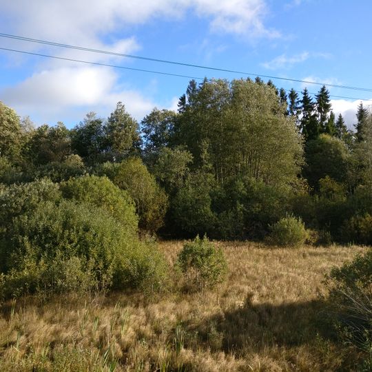 Purgaiļu viduslaiku kapsēta