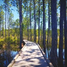 Panama City Beach Conservation Park