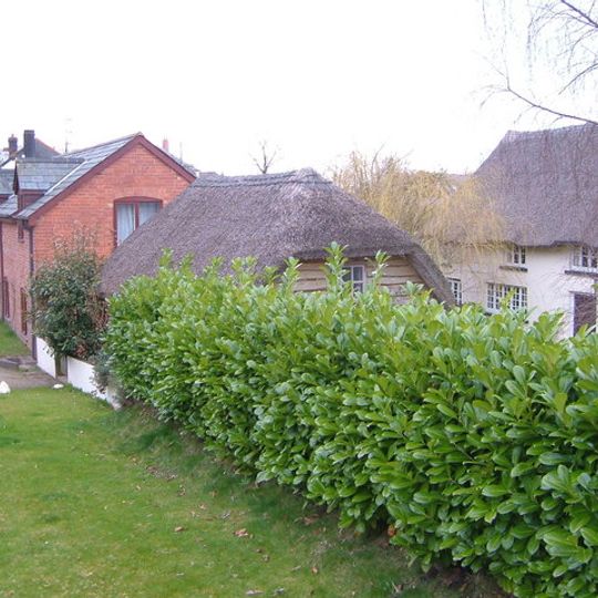 Withen Farmhouse