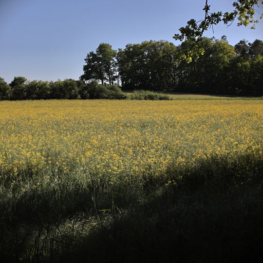Im Gebiet Kappelberg und Ellbogental