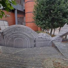 Baleine