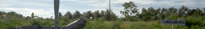 Panoramic View 0