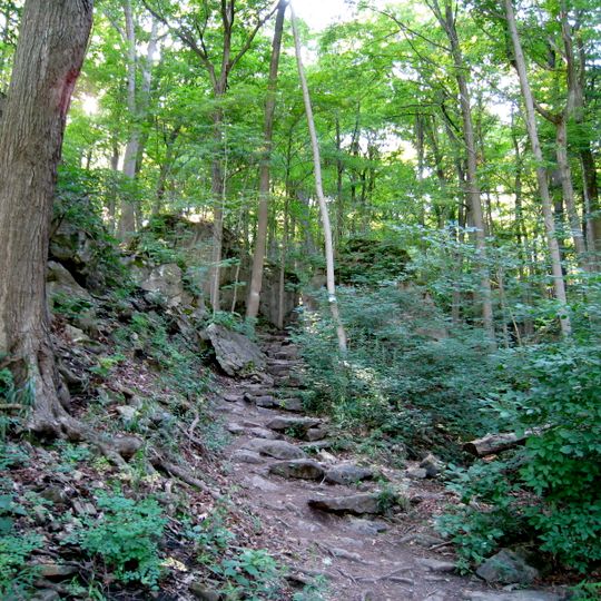 Niagara Glen Nature Reserve