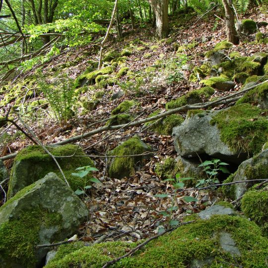 Wallburg Großenritte