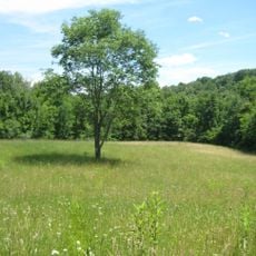 Burr Oak State Park